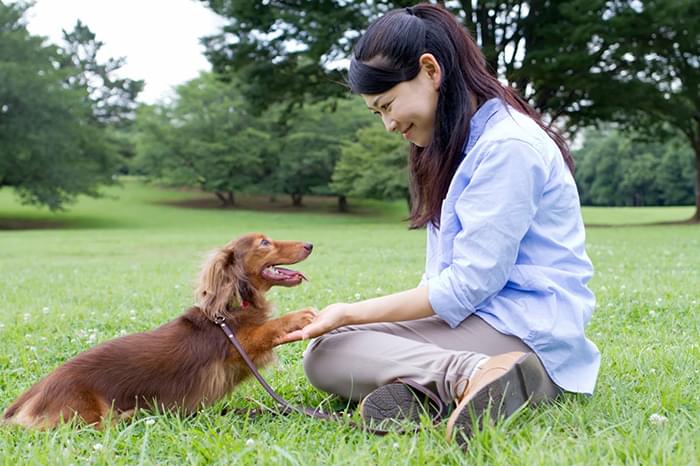 ワンちゃんの状態確認