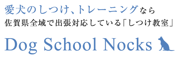 愛犬のしつけ、トレーニングならDog School Nocks